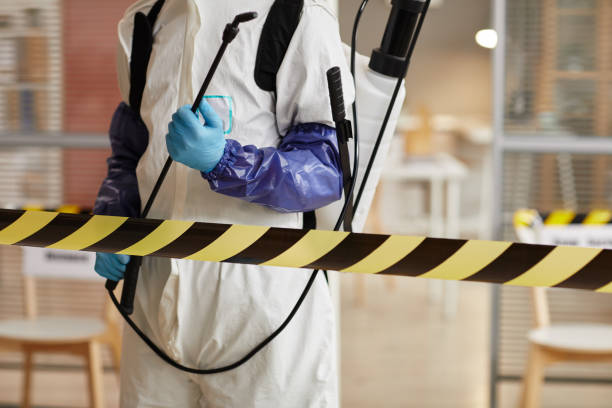 Professional Hoarding Cleanup technician working in Boerne, TX